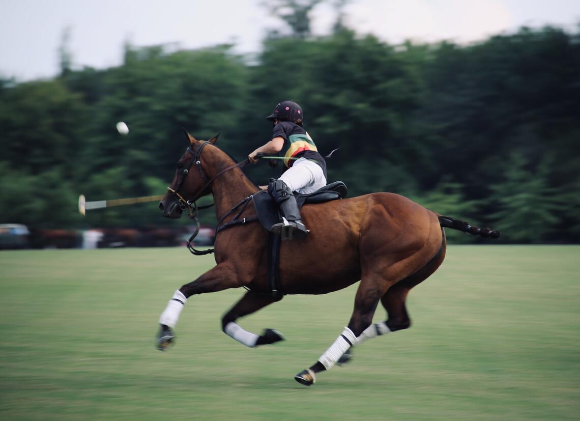 The Bentley Scottsdale Polo Championships